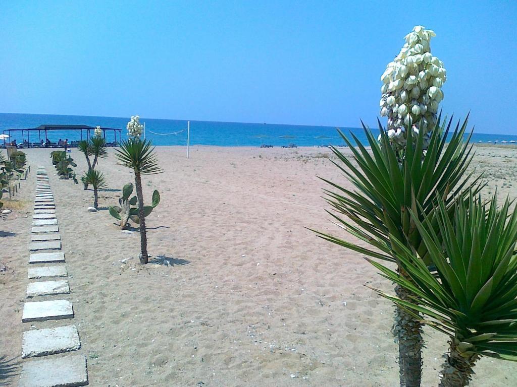 As Queen Beach Hotel Kizilot Exterior photo